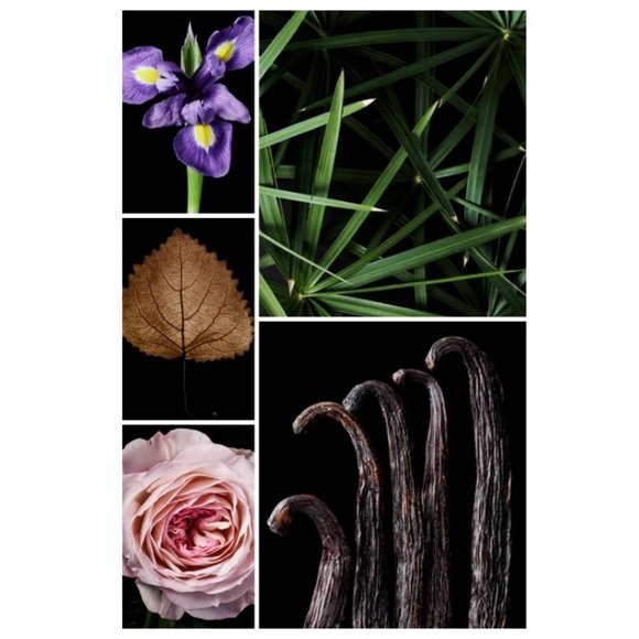 Penhaligon's Constantinople EDP, Woody, Aromatic, NEW - Full Size 100 ml. - Picture 8 of 12